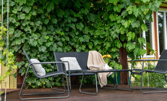 Douglas hout in combinatie met groen als natuurlijke afscheiding