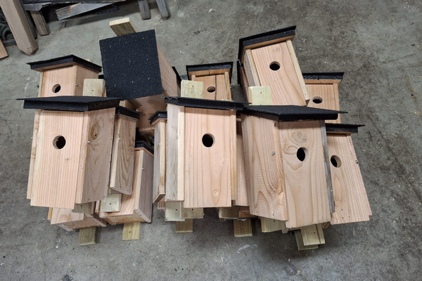 Projecten met karakter vogelhuisjes