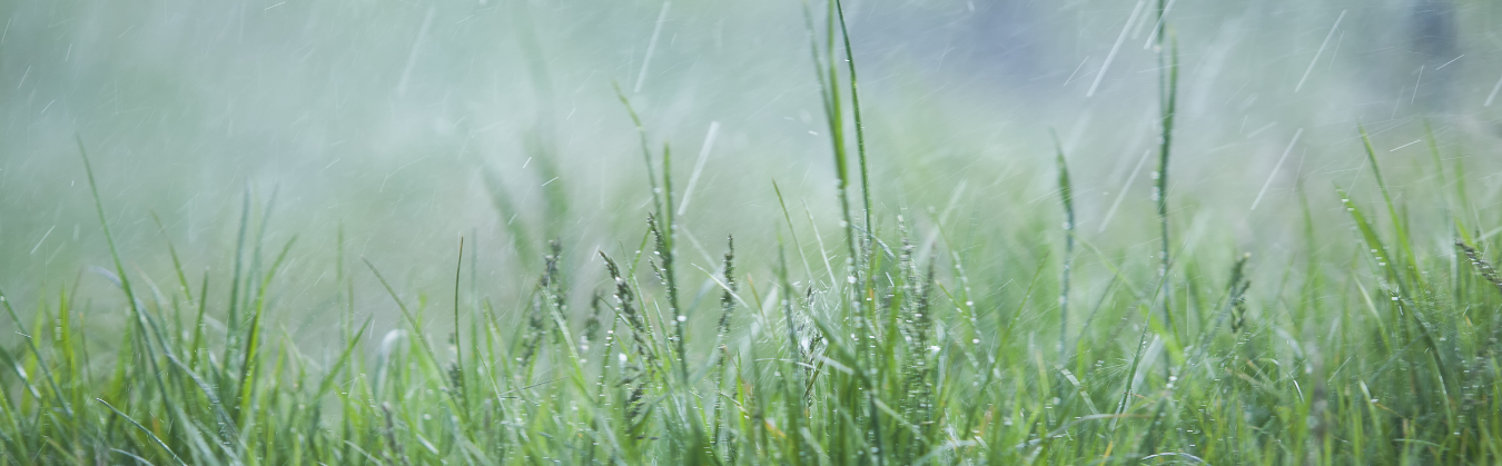 Regenbui in de tuin als voorbeeld van weersinvloeden op Douglas hout buiten