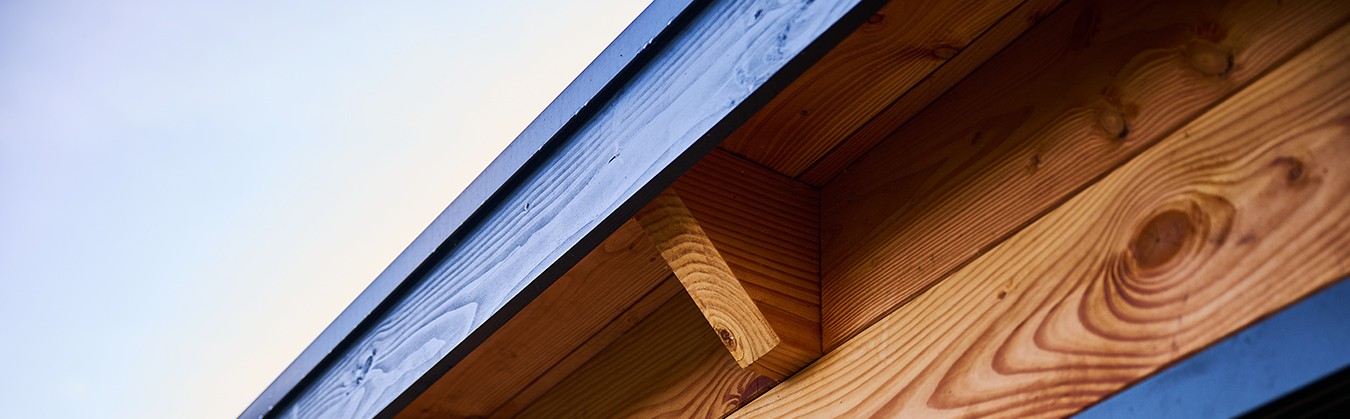 Close-up van de dakrand van een houten constructie met een zwarte daktrim, als voorbeeld van een nette afwerking die lekkages voorkomt.