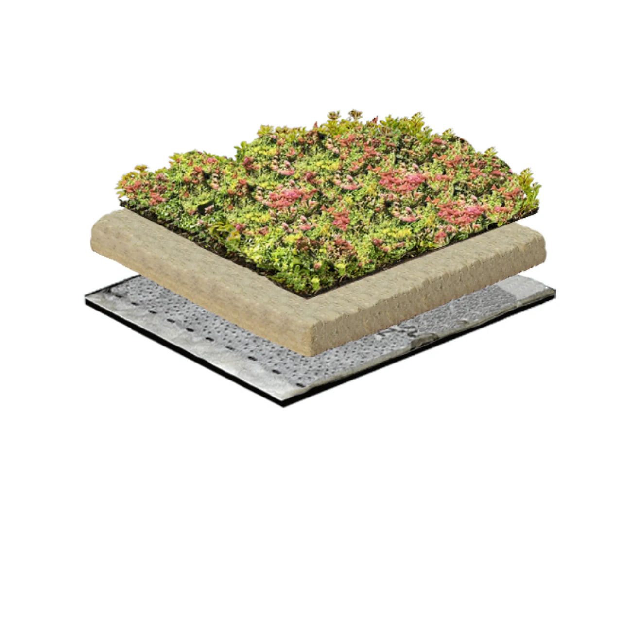 Groendak Lichtgewichtsysteem