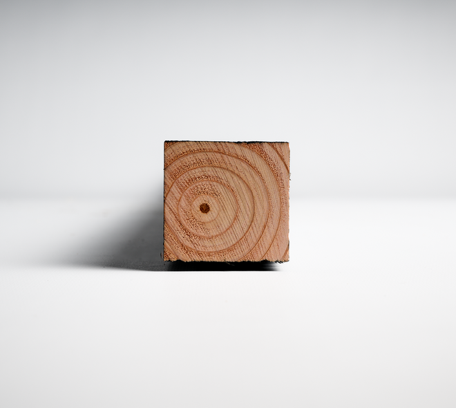 Douglas regel 5x5cm fijnbezaagd zwart 4m 05