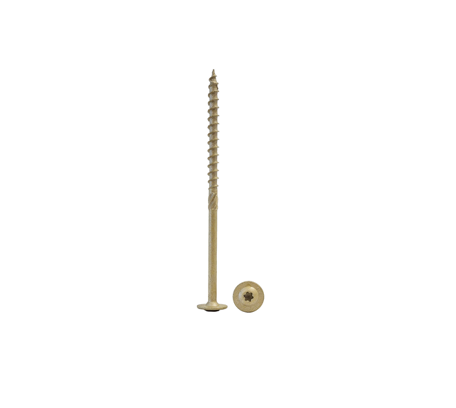 Tellerkopschroef 8,0x160mm AR Coating 02