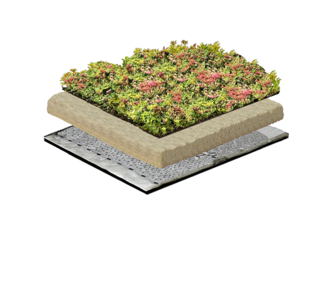 Groendak Lichtgewichtsysteem 01