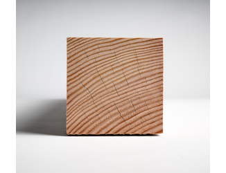 Douglas paal 10x10cm fijnbezaagd 3m 04