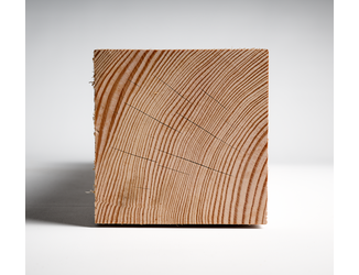 Douglas paal 12x12cm fijnbezaagd 2m 05