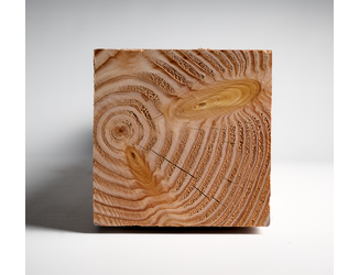 Douglas paal 15x15cm fijnbezaagd 2,5m 05