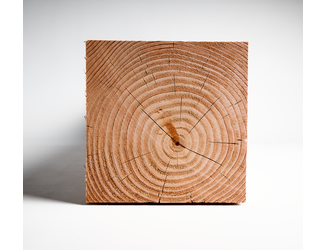 Douglas paal 20x20cm fijnbezaagd 3m 07