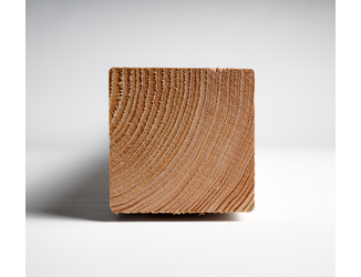 Douglas paal 9x9cm geschaafd 4m 05