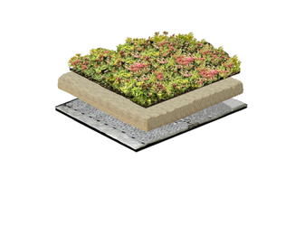 Groendak Lichtgewichtsysteem